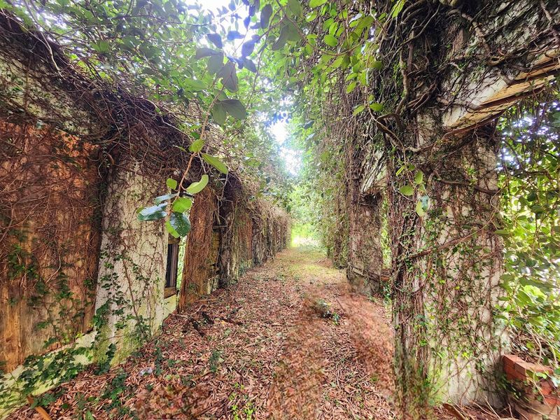 The Mysterious Abandoned Town In Florida That Few People Dare To Explore - Decor Hint The Architecture That Almost Survived