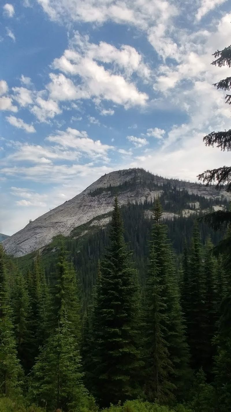 This Northern Idaho Mountain Is Known For Its Mysterious Stories And Hidden Secrets - Decor Hint Mountain Goats That Know Exactly What They Want From You