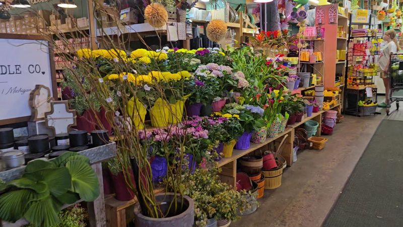 Fresh Flowers, Plants, And The Garden Center