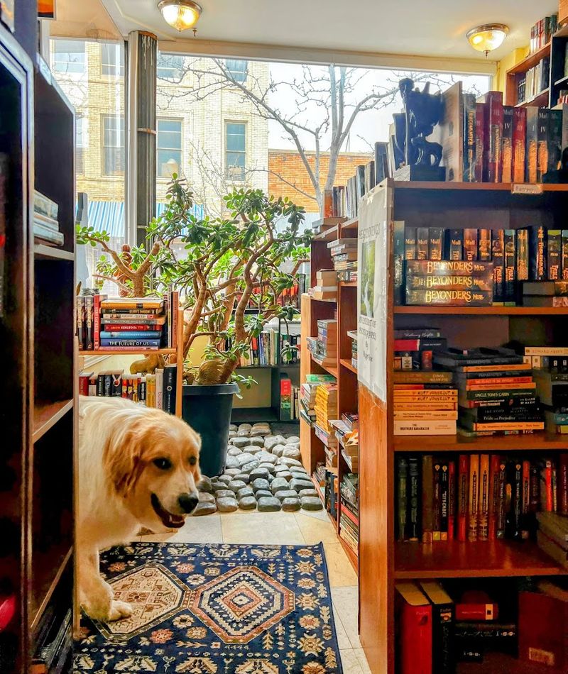 A Dog-Friendly Destination