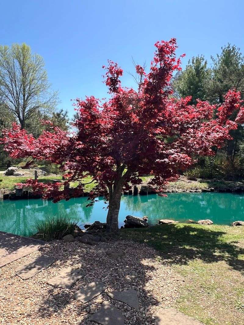 Seasonal Color That Changes Everything