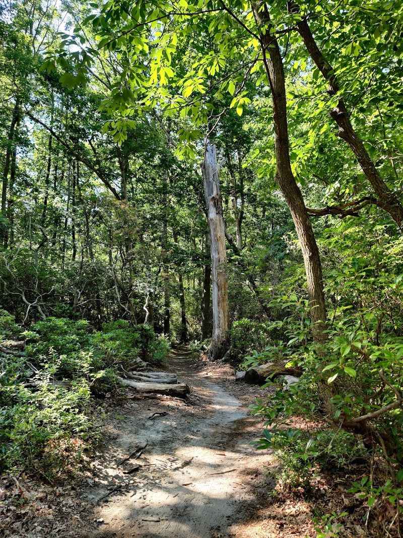This Charming New Jersey State Park Is Full Of Quiet Beauty And History - Decor Hint Trails, Rivers, And Natural Beauty
