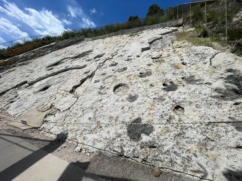 The Dinosaur Bone Quarry Site