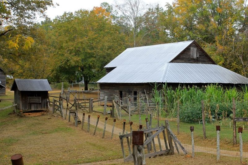 This Living Georgia Plantation Lets You Experience A Century Of Rural Life Up Close - Decor Hint What To Know Before You Visit