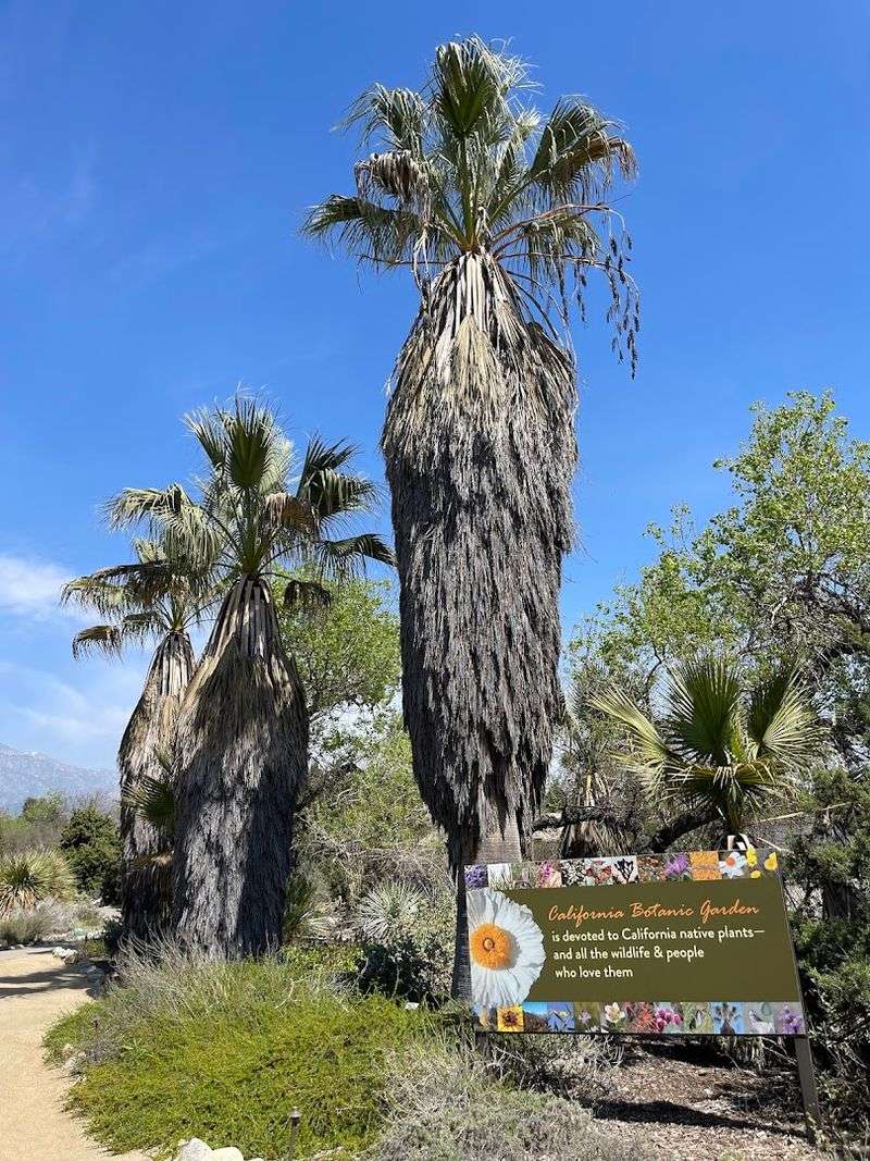 Research, Education, And The Herbarium You Probably Did Not Know Existed