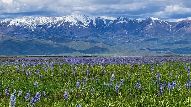 Why Late May Is The Magic Window