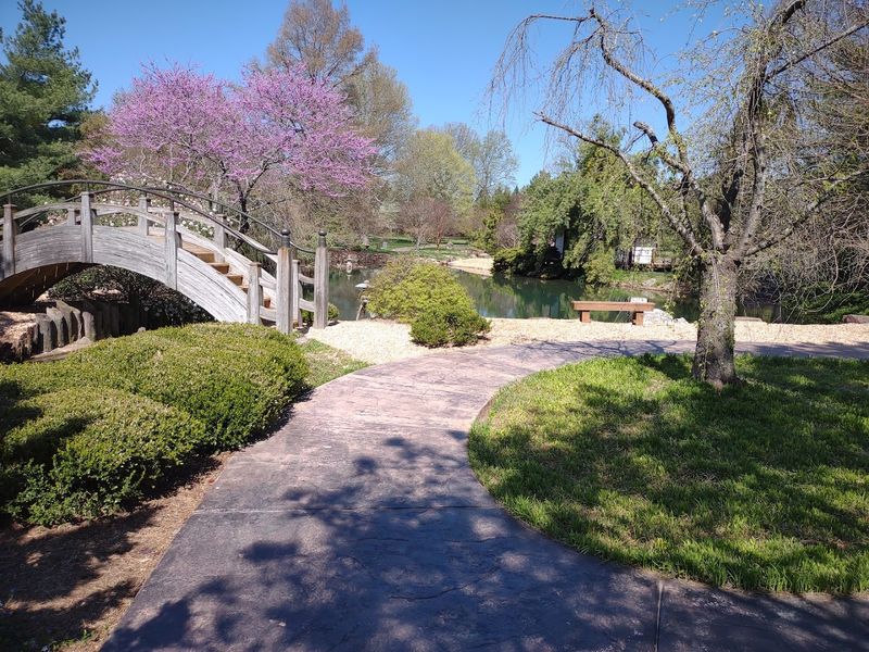 Why This Garden Feels Genuinely Different