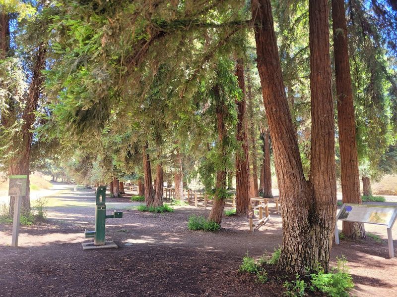 An Easy Walk That Leads To Something Extraordinary
