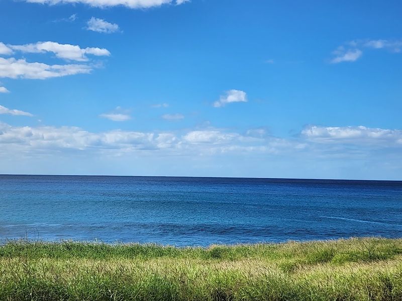 The Coastal Views That Make The Ride Unforgettable