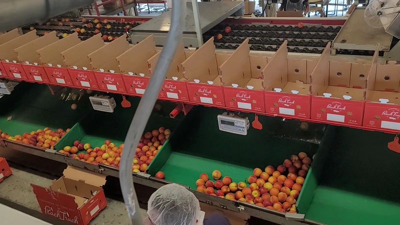 Holiday Gift Boxes And Year-Round Reasons To Return