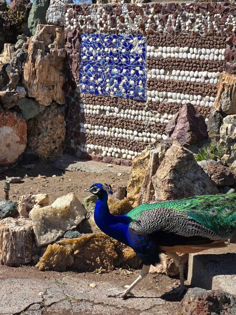 Visitors Can't Stop Talking About This Wonderfully Unusual Garden In Oregon - Decor Hint Ponds, Peacocks, And A Few Surprises