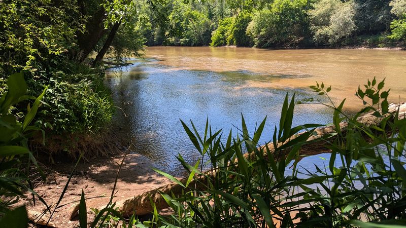 Oconee River Views That Feel Almost Cinematic