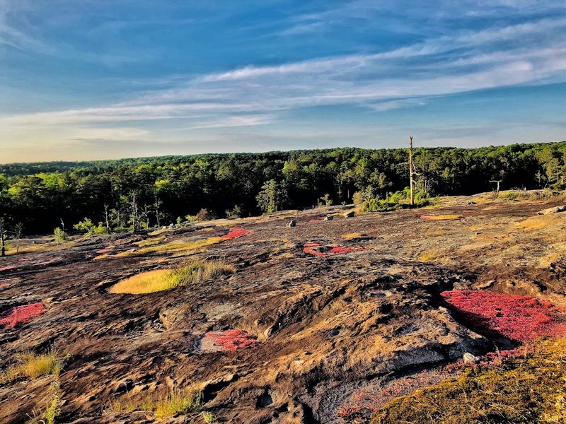 Arabia Mountain Trailhead