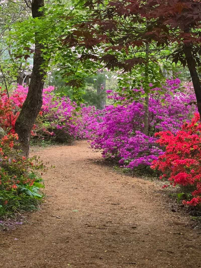 Walking The Garden Paths