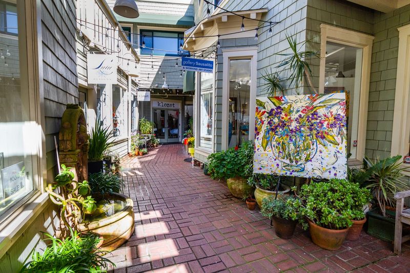 Art Galleries And Local Shops Worth Wandering Into