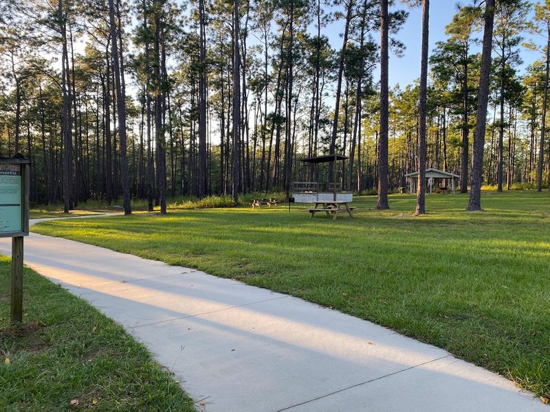 One Of Florida's Most Unexpected Waterfall Spots Is Hiding Along This Trail - Decor Hint Camping Here Puts You On One Of Florida's Highest Hills