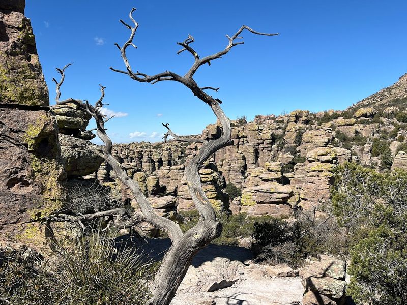 Free Entry Makes This One Of The Southwest's Greatest Outdoor Bargains