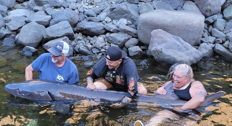 Hells Canyon Adventures Outfitter