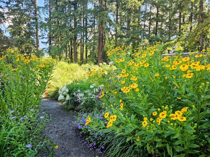 Native Plant Collections That Teach You Something