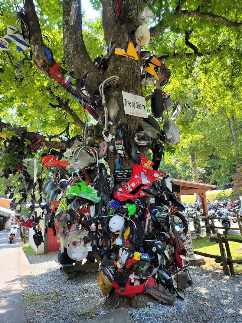 The Tree Of Shame
