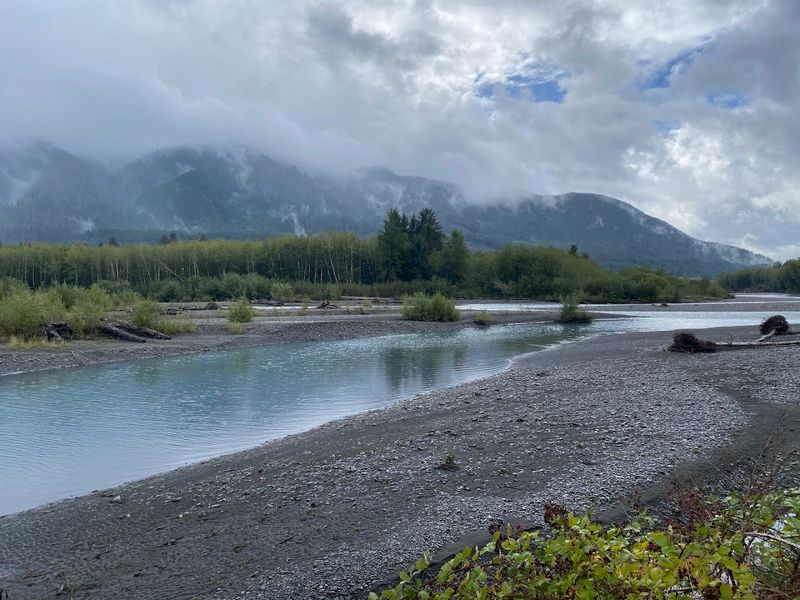 The Long Hoh River Trail Adventure