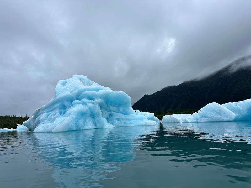 Bear Glacier Lagoon