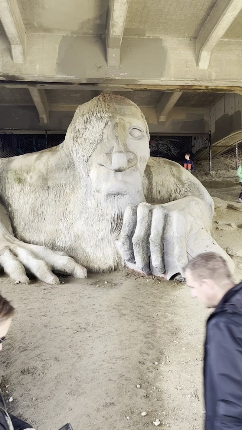 What The Troll Actually Looks Like