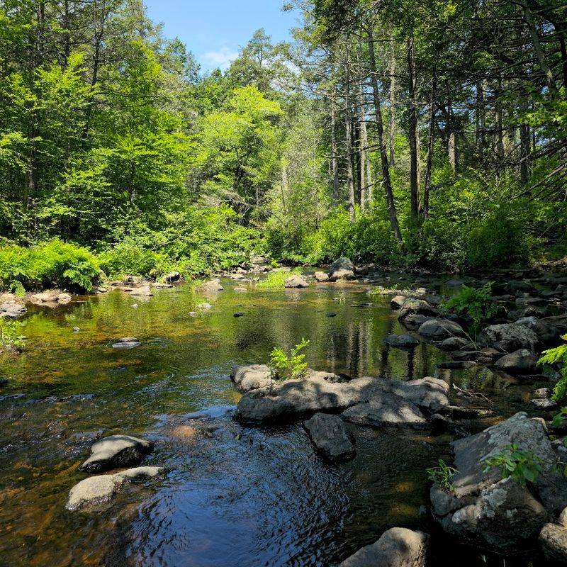 Where The Eightmile River Runs Wild