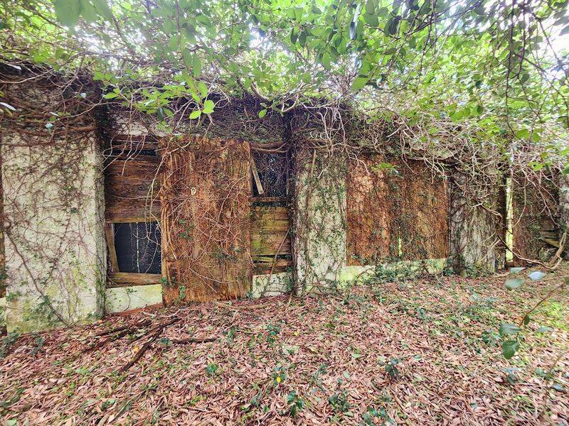 The Mysterious Abandoned Town In Florida That Few People Dare To Explore - Decor Hint What The Post Office Left Behind