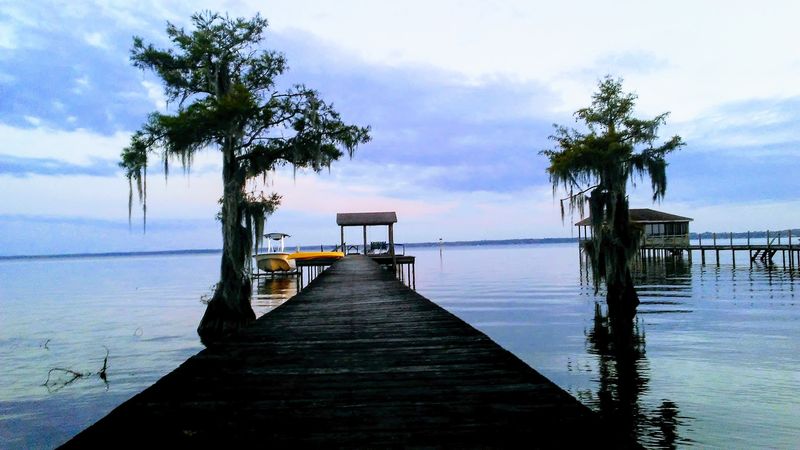 A Carolina Bay Unlike Any Other