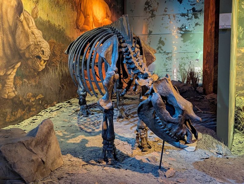 Fossil Exhibits And Paleontology Lab