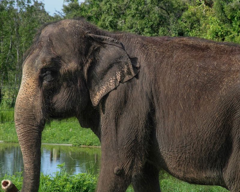 The 30-Acre Habitat And What Makes It Special