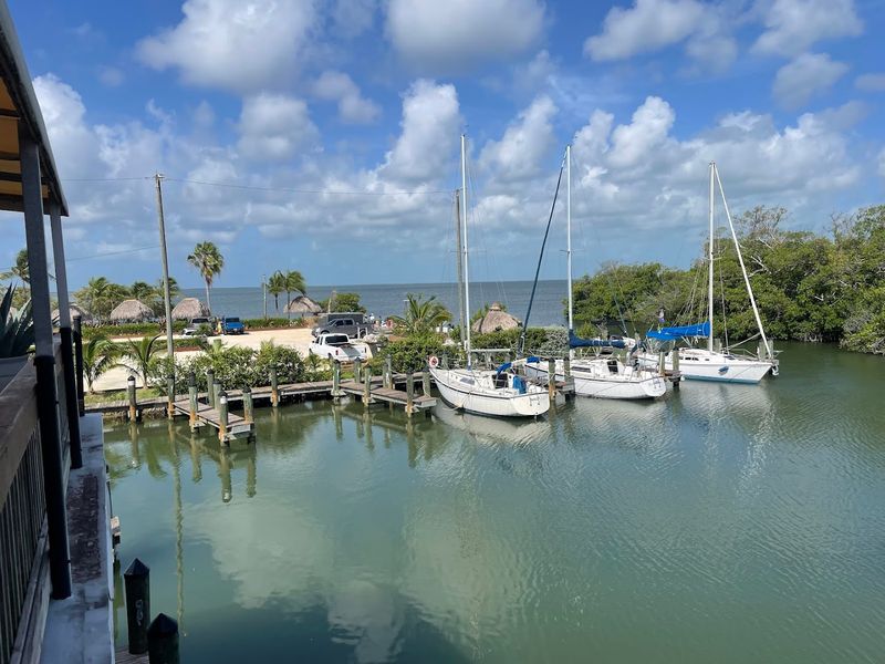 The Marina Makes The Whole Scene Come Alive