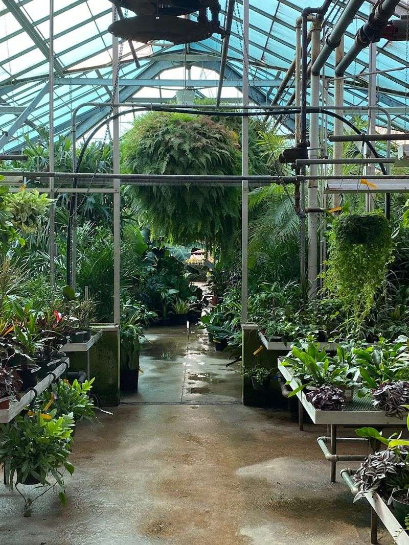 Greenhouses Packed With Plants You Did Not Know You Needed