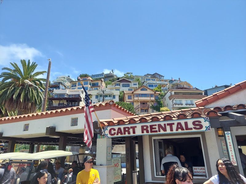 Golf Carts Add To The Island-Town Character
