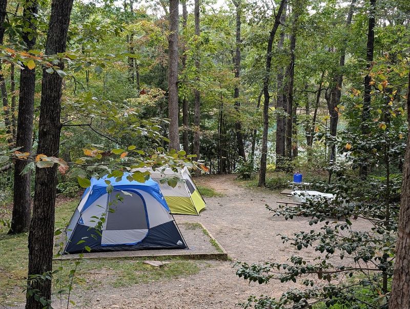 Camping Under the Stars: Affordable Overnight Options Nearby