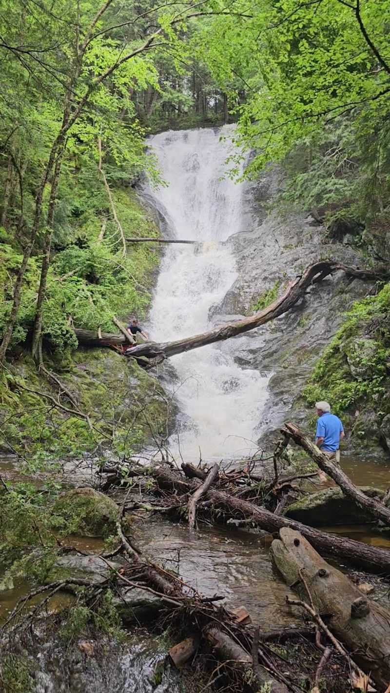 What The Falls Look Like Up Close
