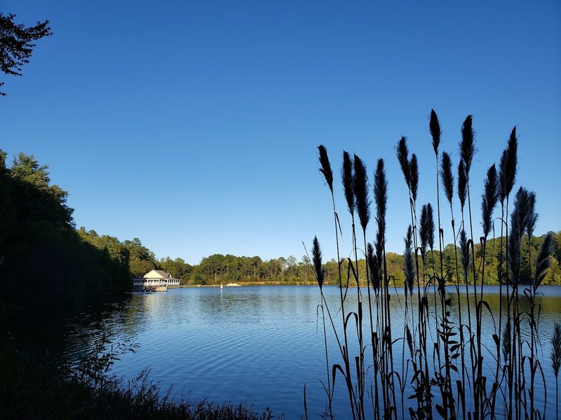 A Lake That Looks Painted