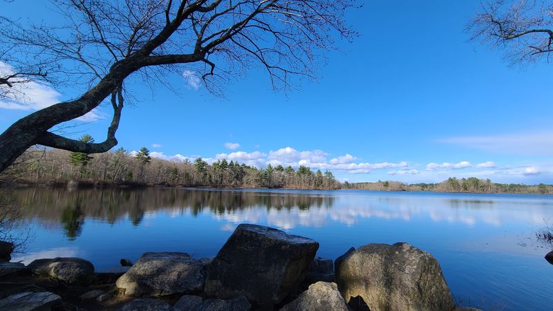 The Leach Pond Views