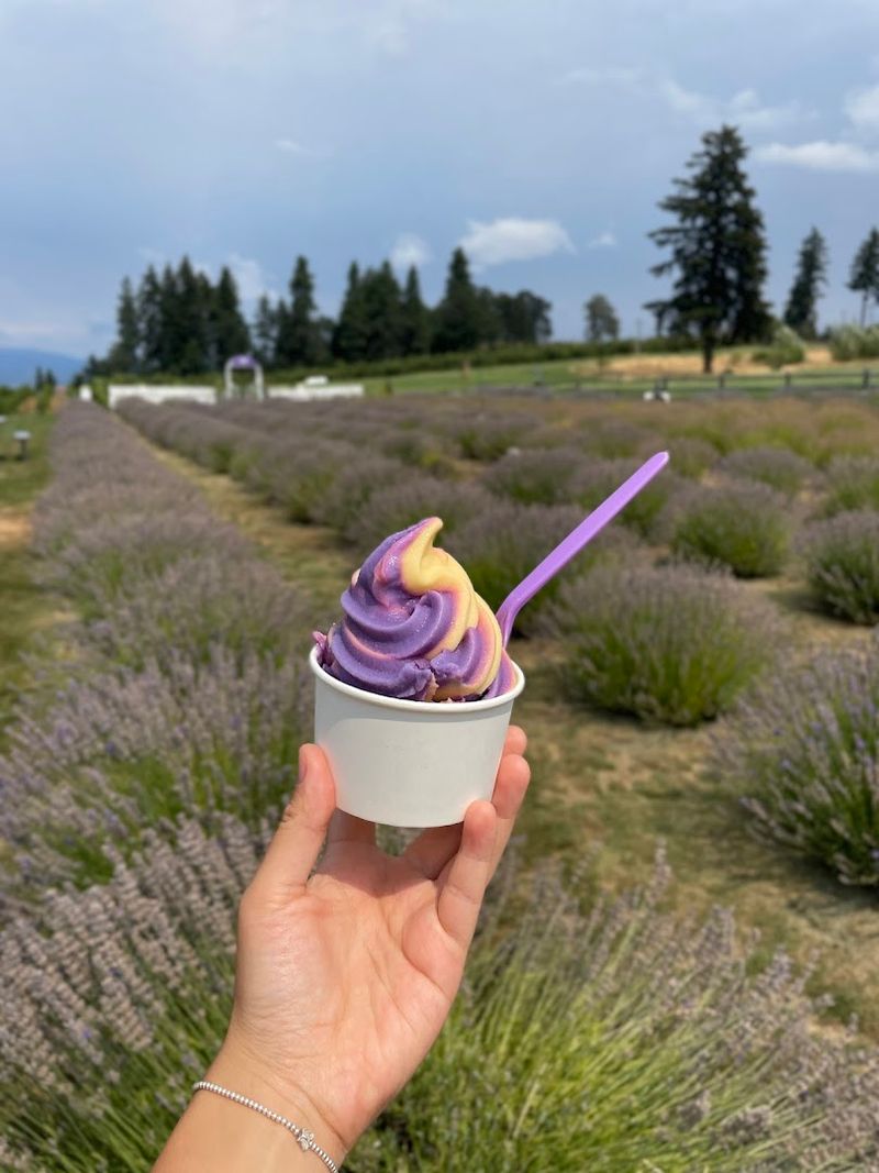 Lavender Soft Serve That Changes The Ice Cream Game