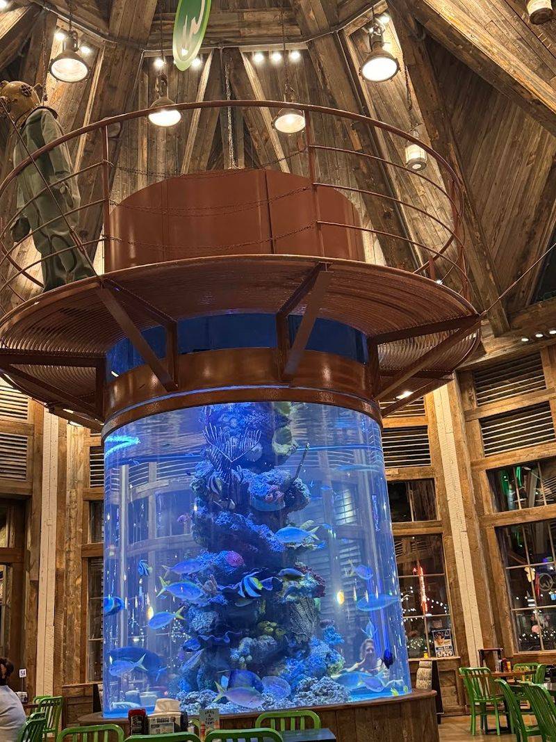 Underwater Atmosphere
