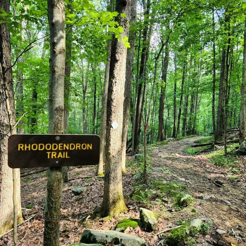This Peaceful West Virginia State Park Feels Like Another World Entirely - Decor Hint Hiking Trails That Reward Every Fitness Level
