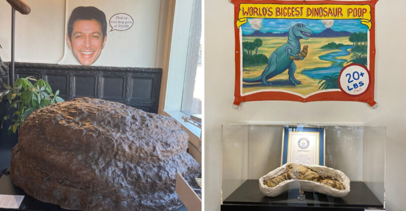 The Weird Arizona Attraction That Visitors Can’t Stop Laughing About