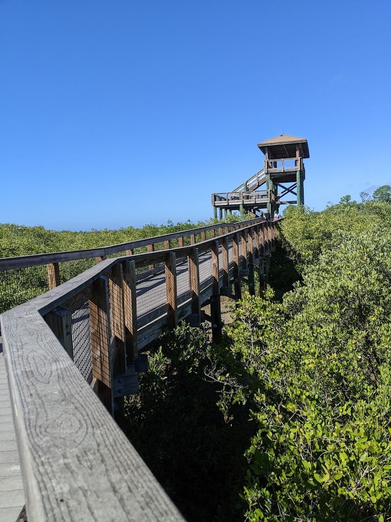 The 35-Foot Observation Tower