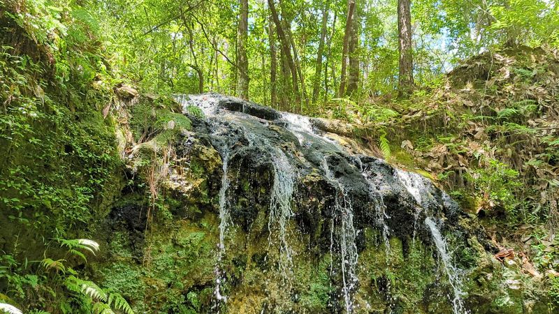 One Of Florida's Most Unexpected Waterfall Spots Is Hiding Along This Trail - Decor Hint A Five-Dollar Entry Fee Makes This One Of The Best Value Stops On I-10