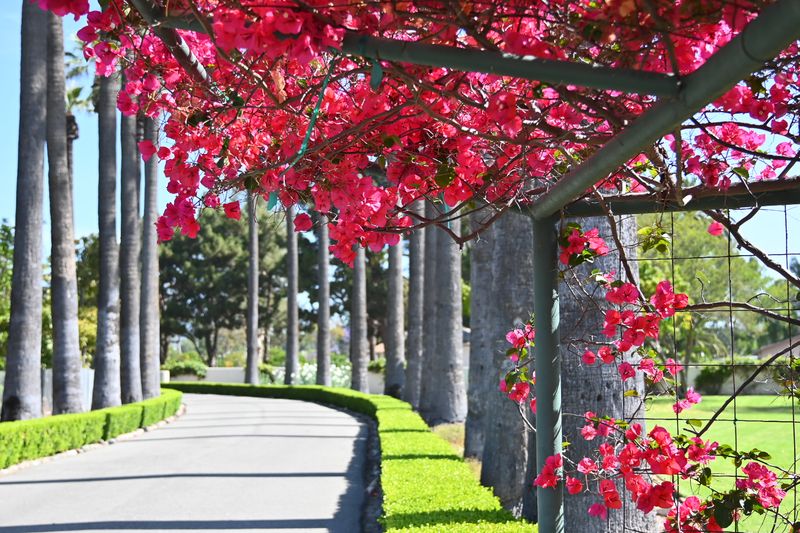 Linking Into The Irvine Ranch Open-Space Network