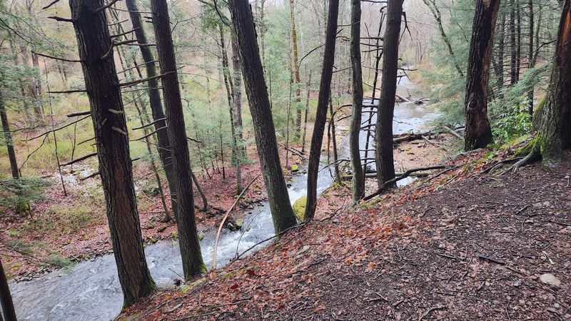 Van Campens Glen Trail