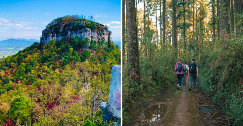 These 10 Easy North Carolina Hikes Under 5 Miles Feel Like Family Adventures