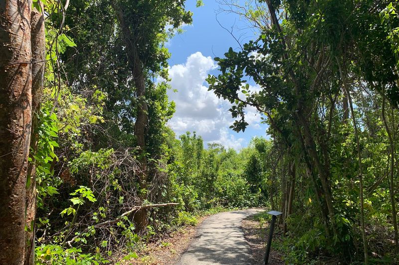 Anhinga Trail 