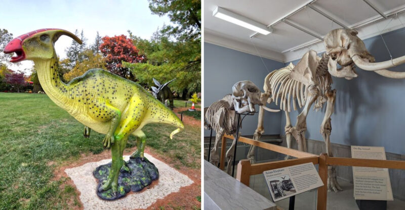 These 10 Michigan Dinosaur Destinations Feel Straight Out Of Jurassic Park